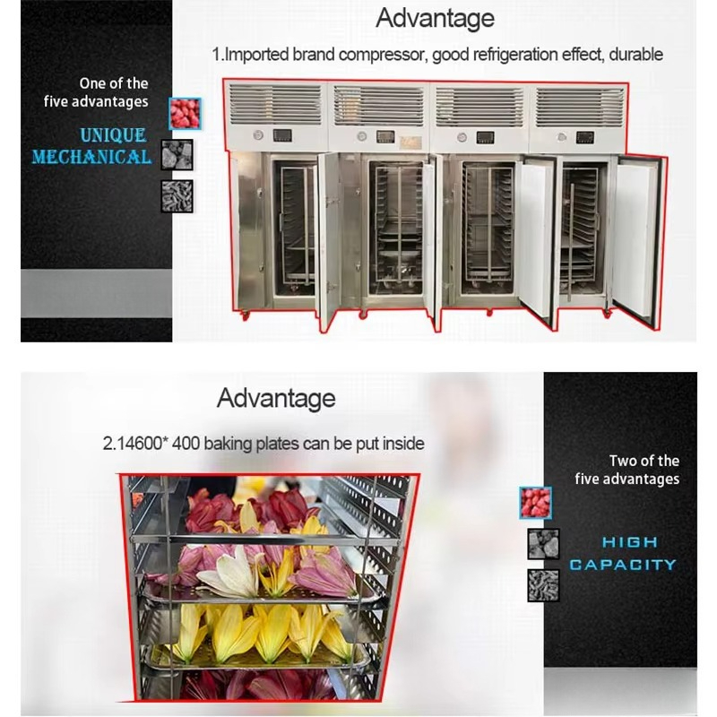 FL Quick Freezing Machine Stai - огляд і ціна Quick Food Snacks