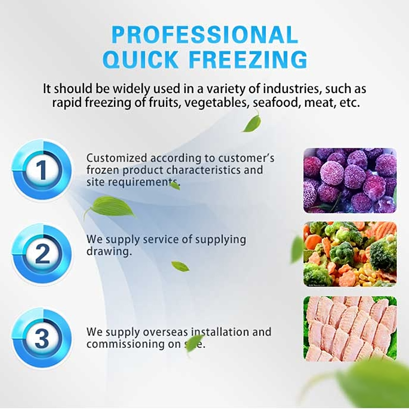 FL Quick Freezing Machine Stai - огляд і ціна Quick Food Snacks